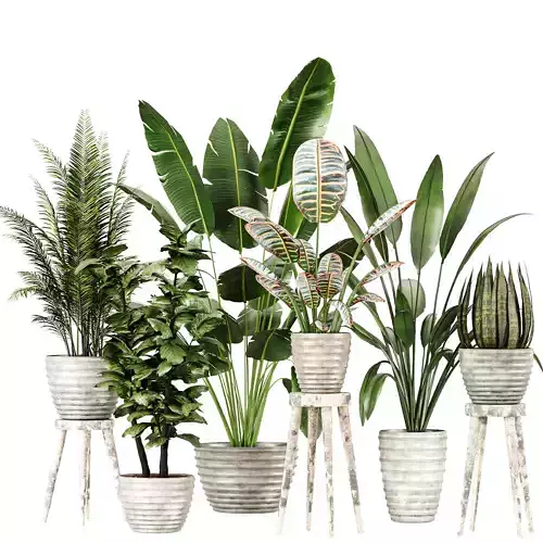 Indoor Plants in Ferm Living Bau Pot Large Banana Low-poly 3D model