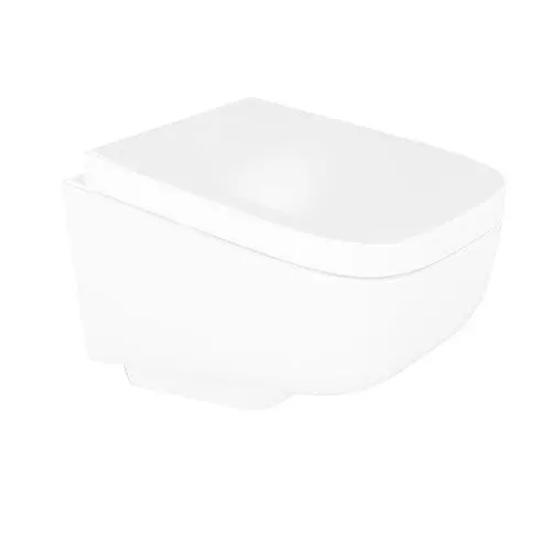 Toilet Bowl Flush 3D model
