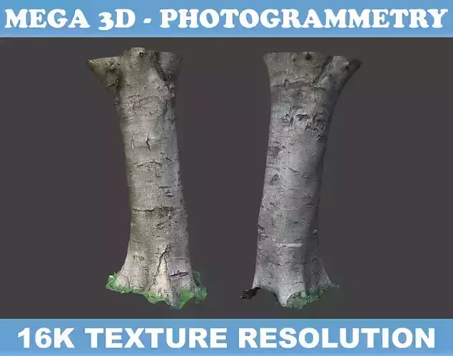 Low poly - High poly Trunk 02 - Photogrammetry