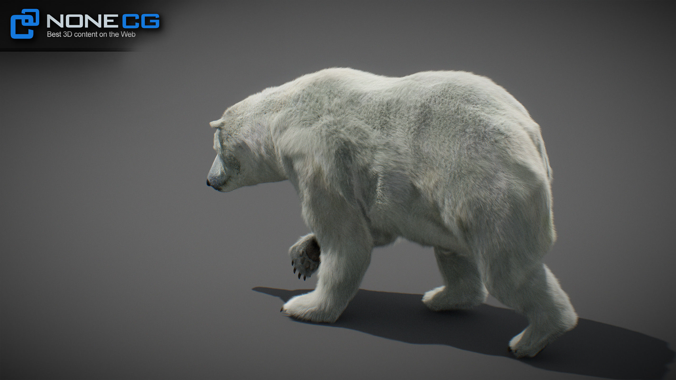 Animated Bears Pack 3D model_25