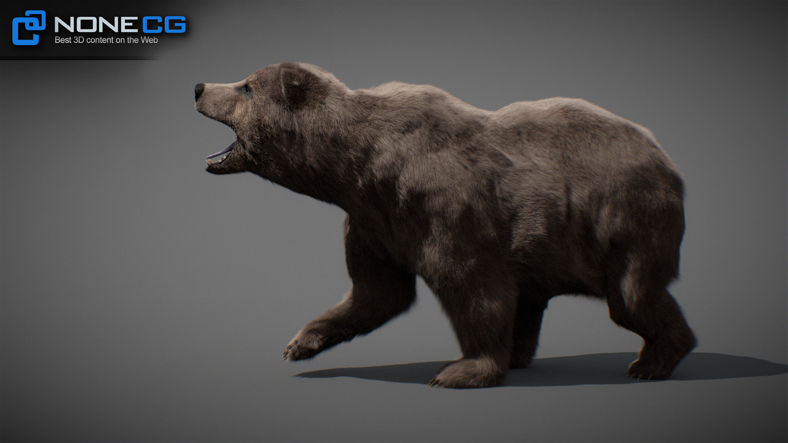Animated Bears Pack 3D model_14
