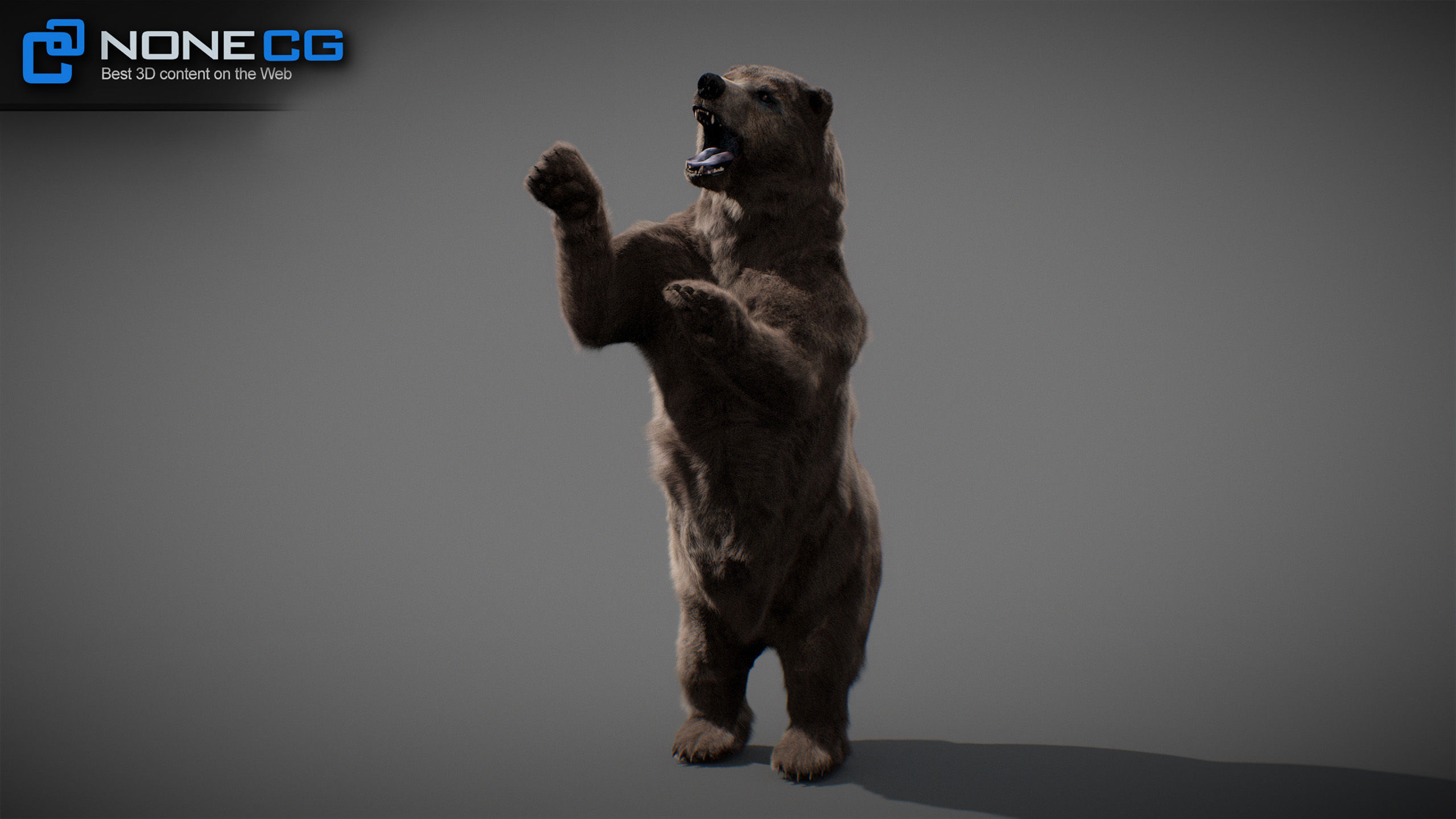 Animated Bears Pack 3D model_18