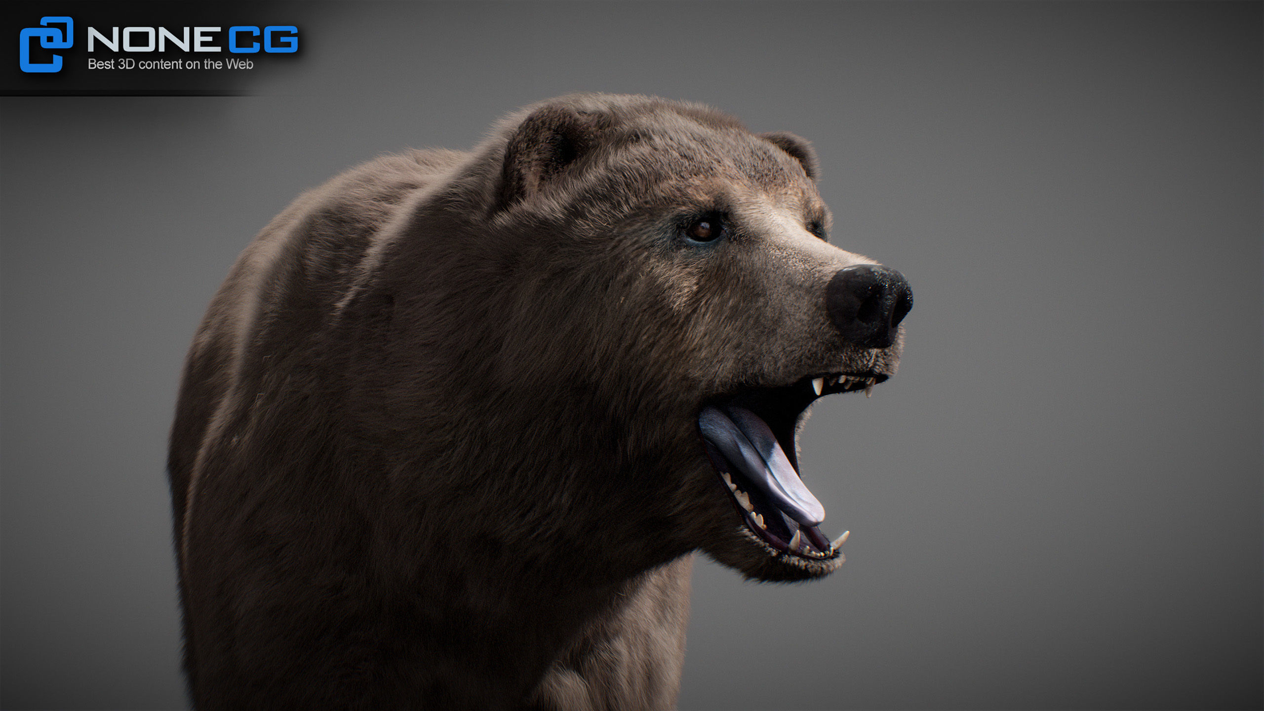 Animated Bears Pack 3D model_24