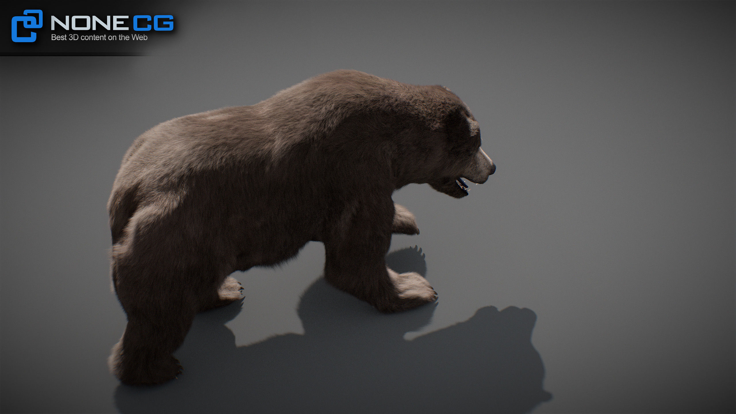 Animated Bears Pack 3D model_30