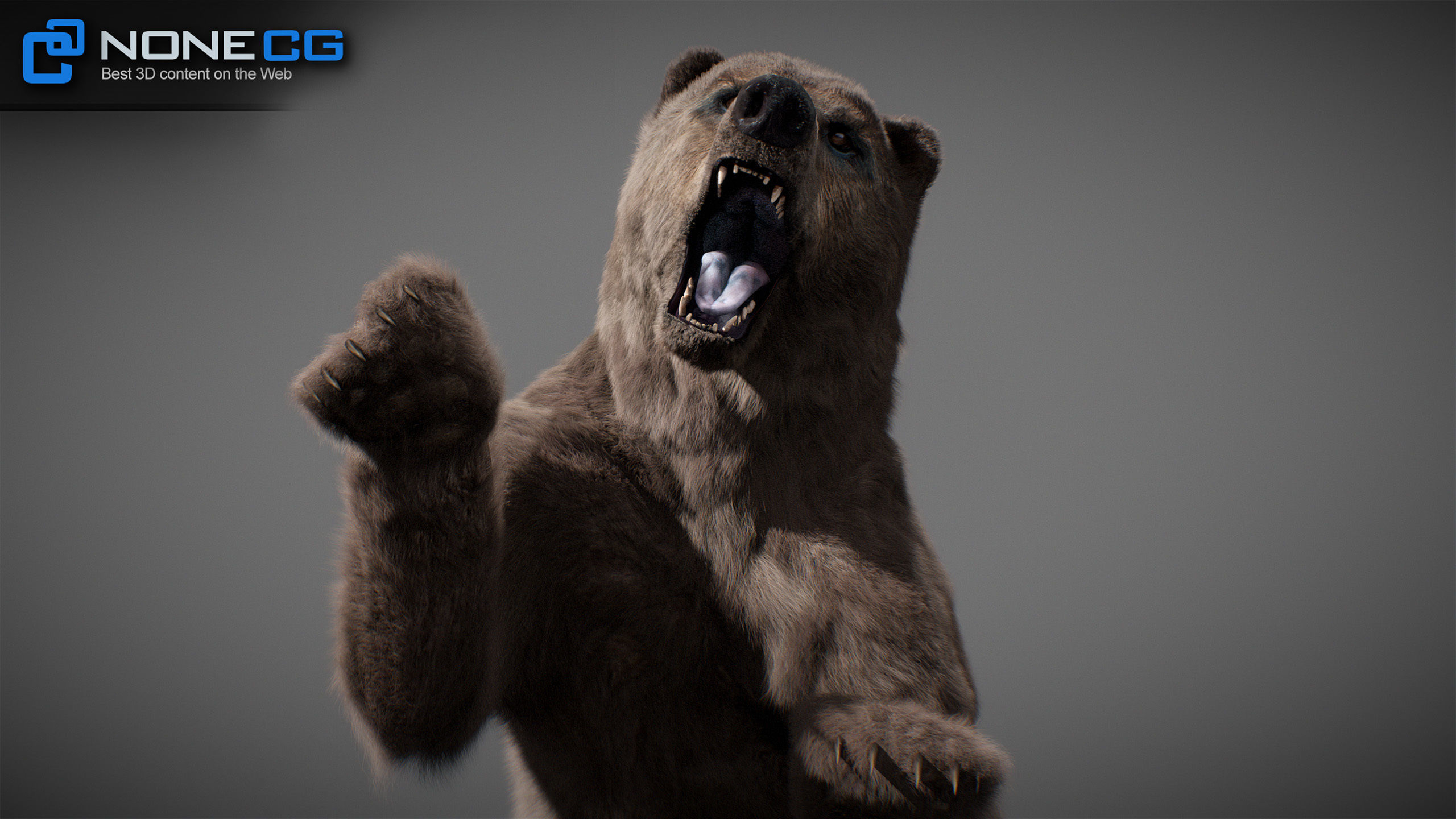 Animated Bears Pack 3D model_5