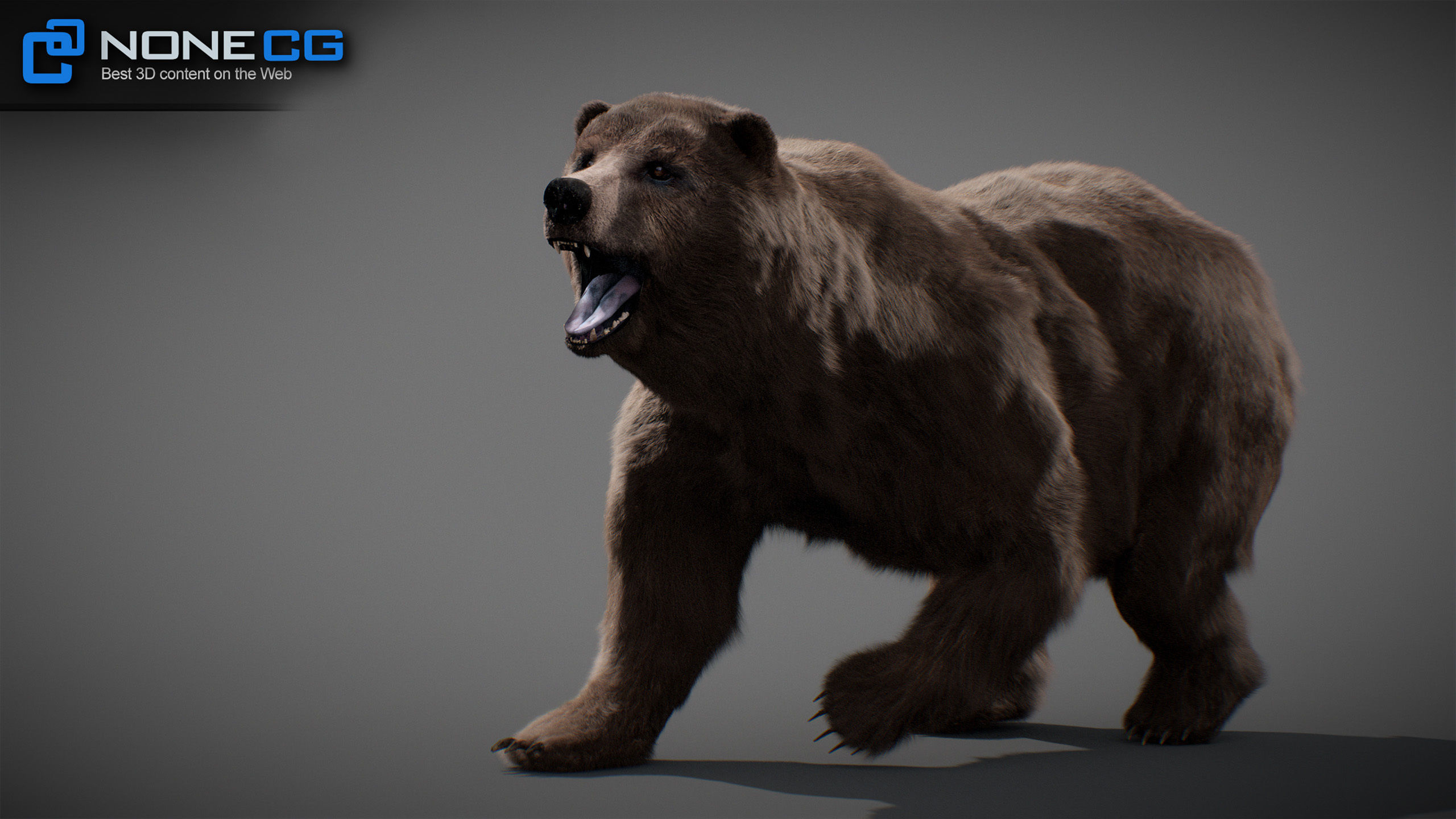Animated Bears Pack 3D model_20