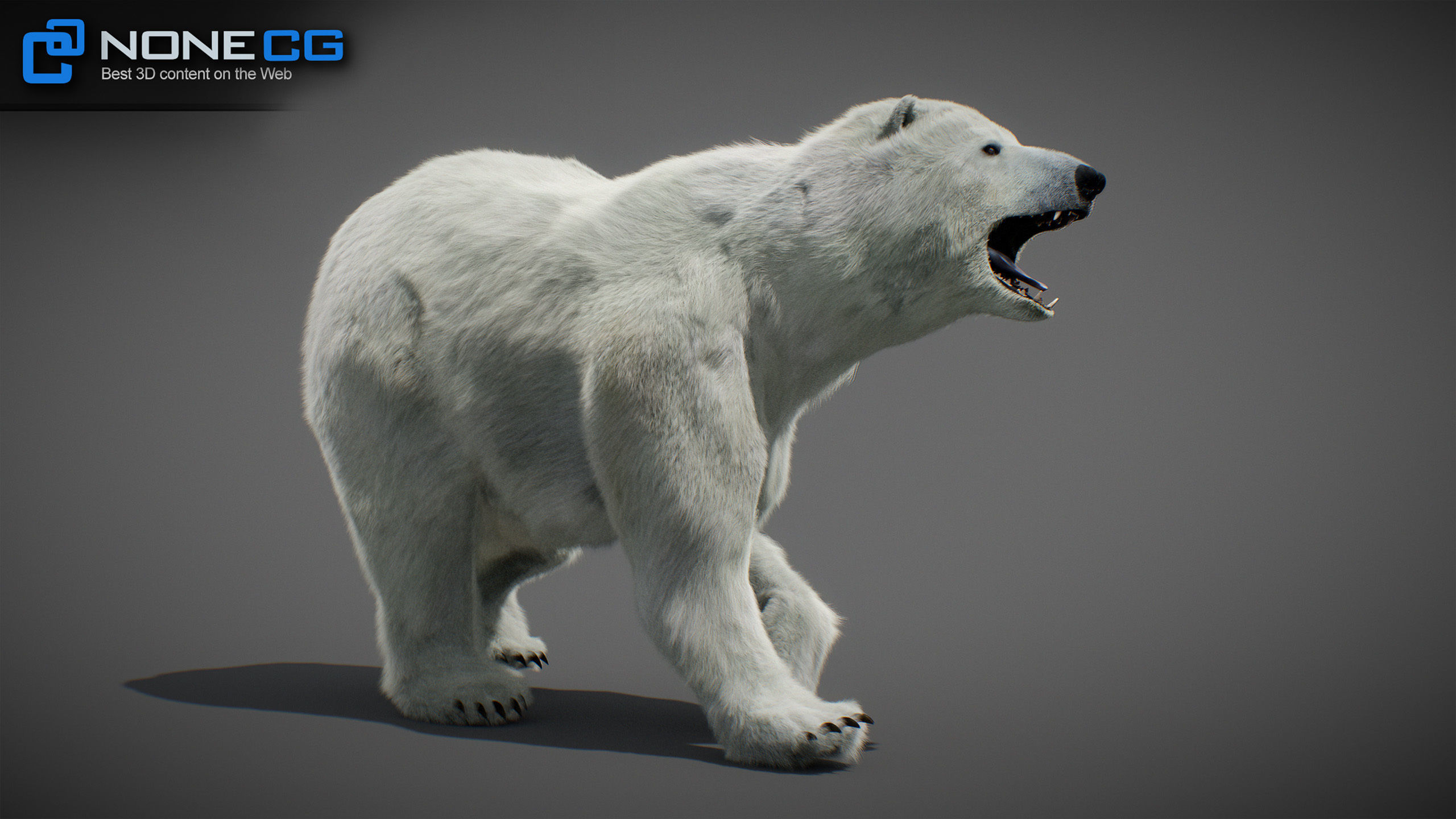 Animated Bears Pack 3D model_23