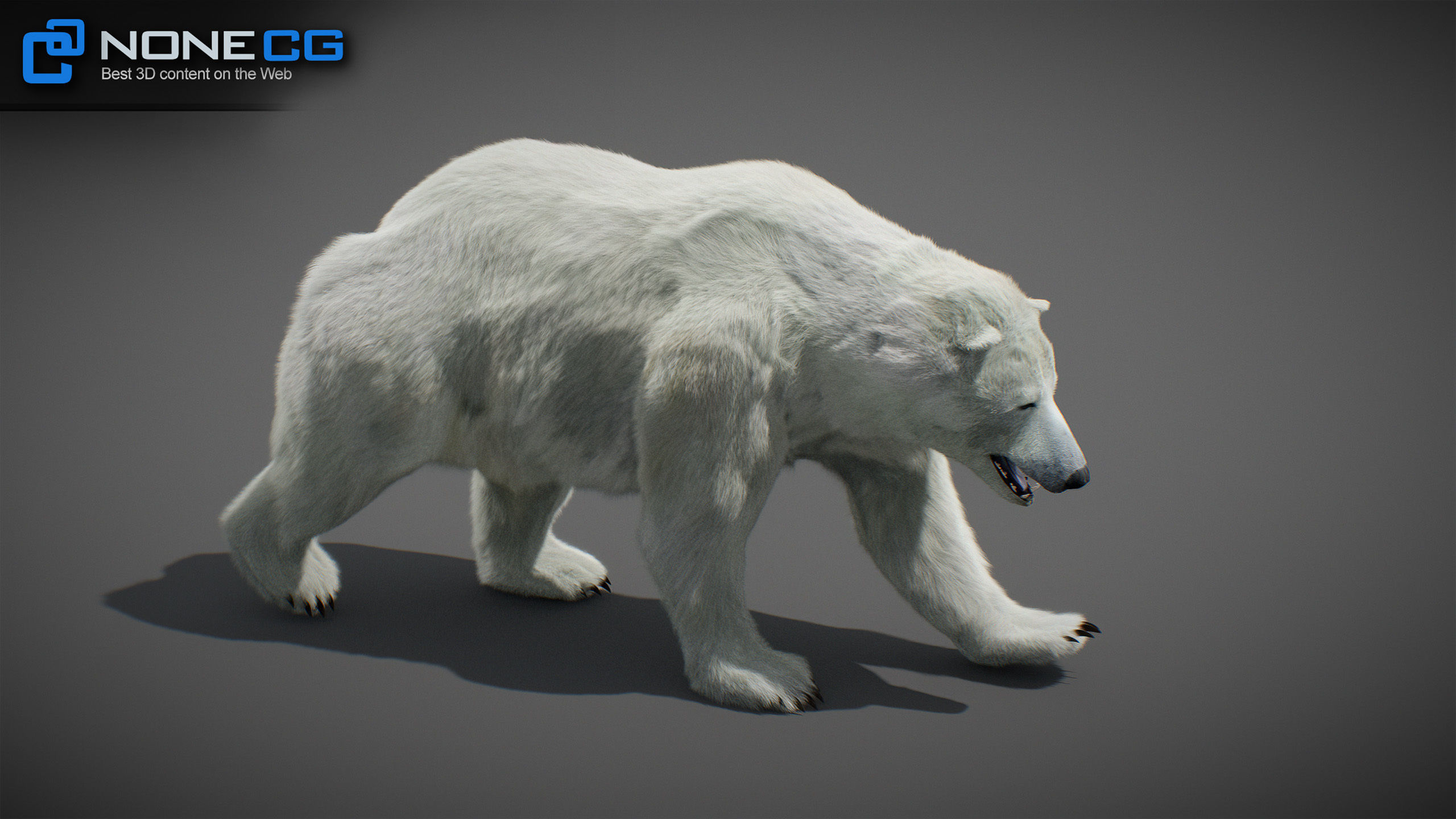 Animated Bears Pack 3D model_31