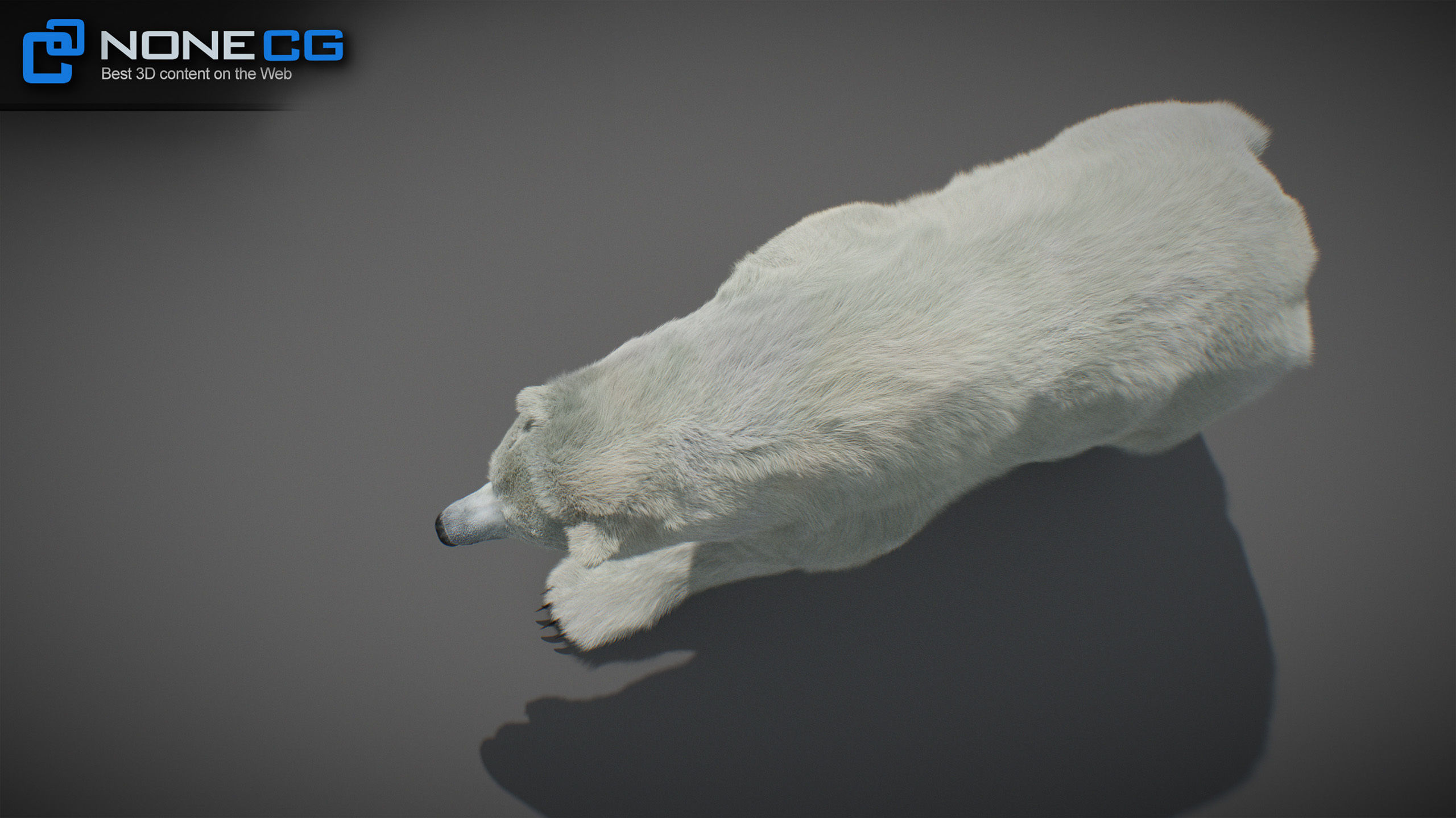 Animated Bears Pack 3D model_19