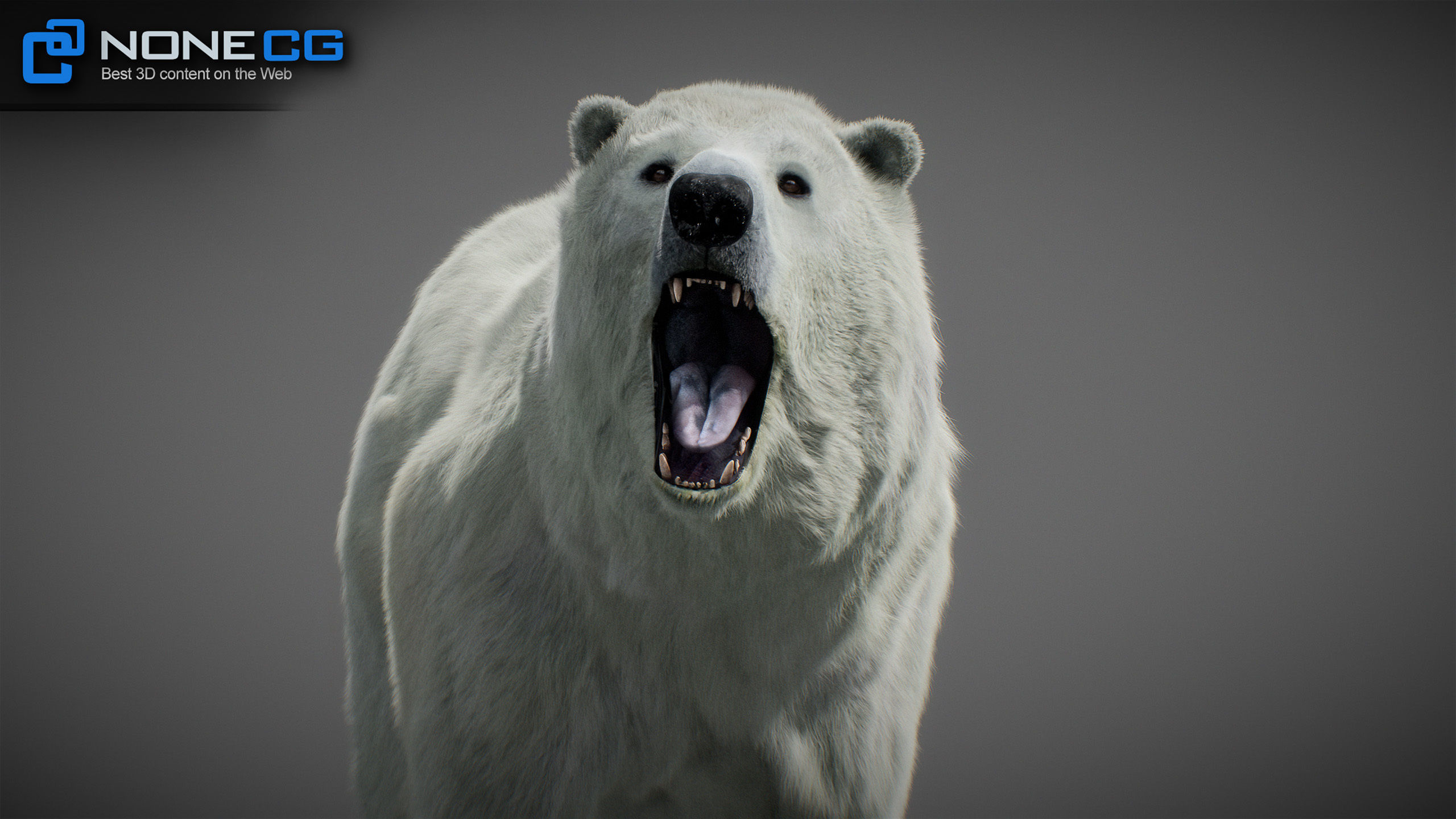 Animated Bears Pack 3D model_8