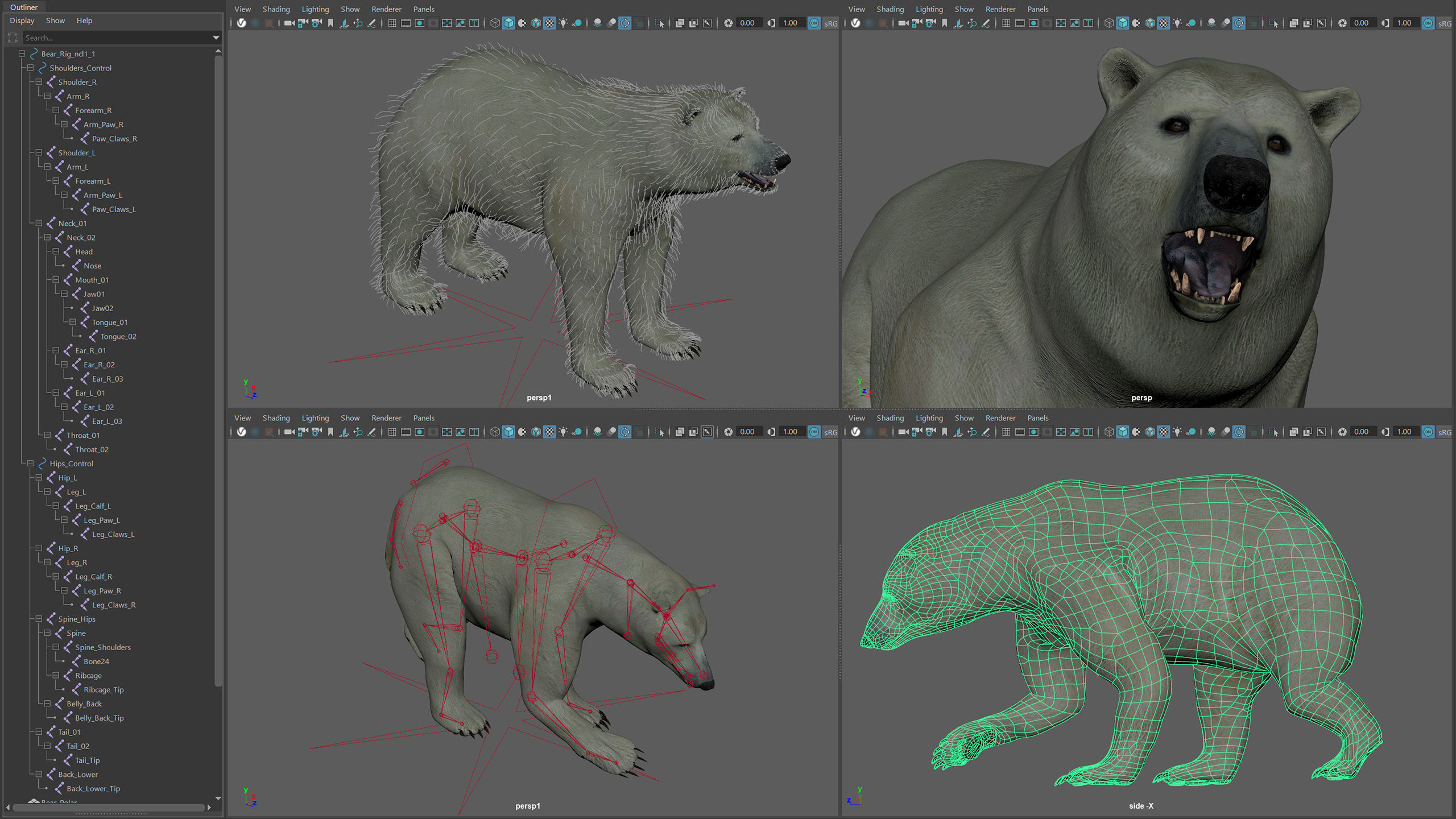 Animated Bears Pack 3D model_12