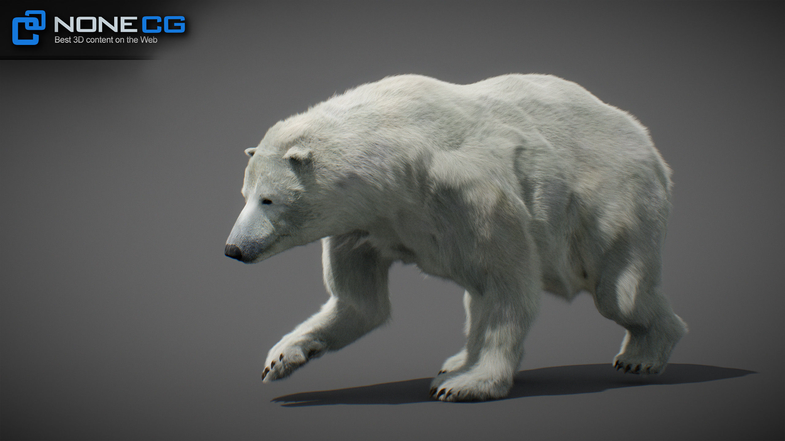 Animated Bears Pack 3D model_29