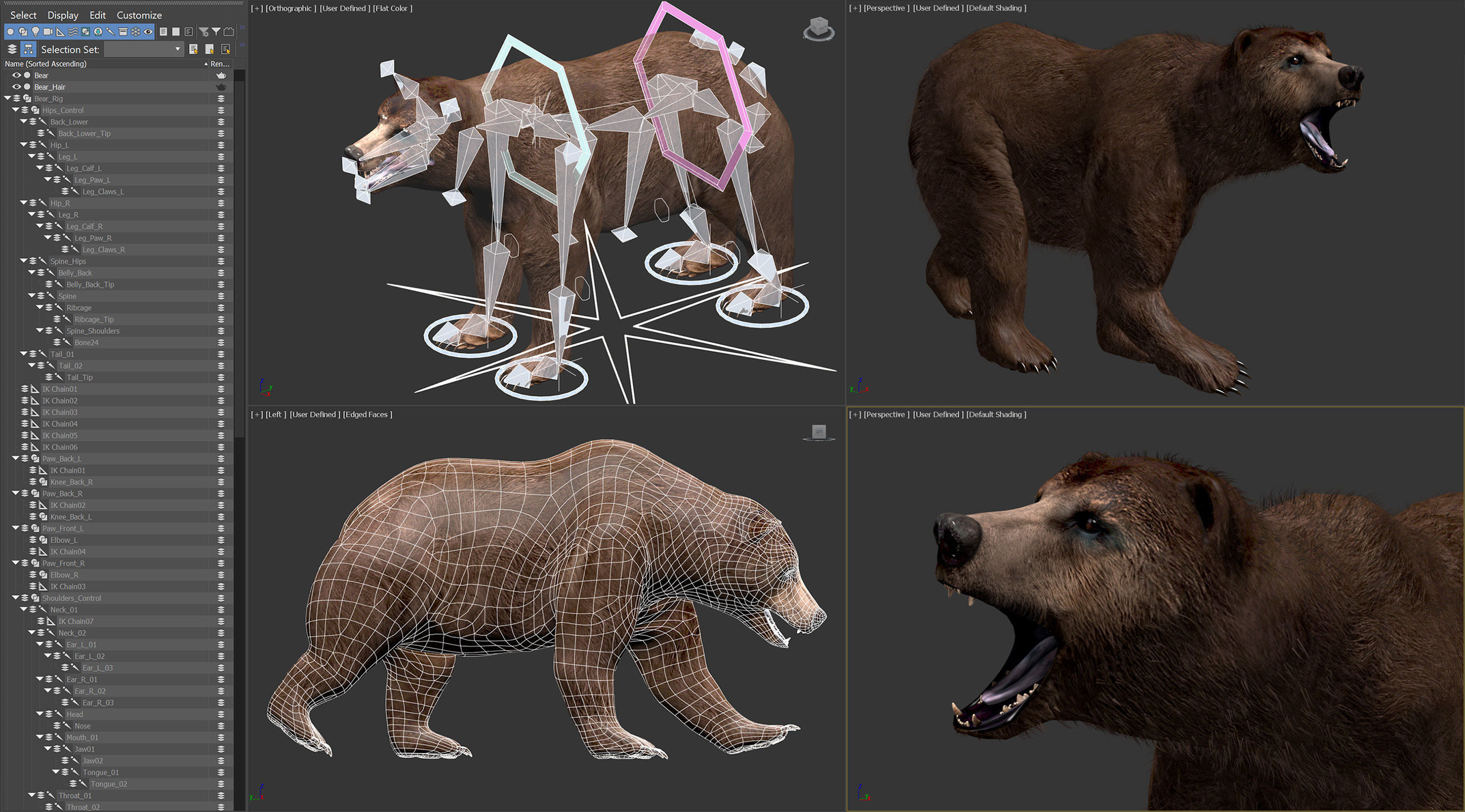 Animated Bears Pack 3D model_9