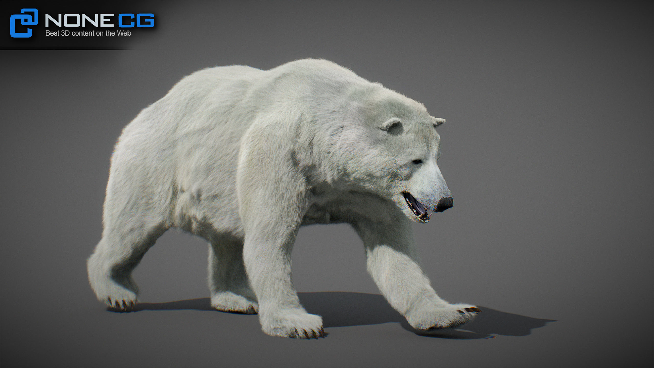 Animated Bears Pack 3D model_17