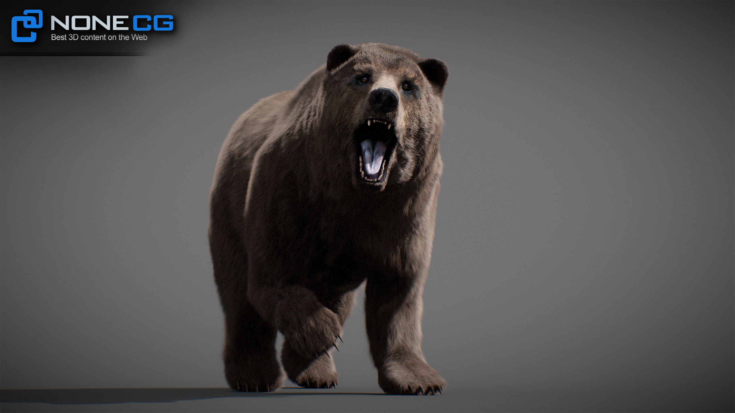 Animated Bears Pack 3D model_22