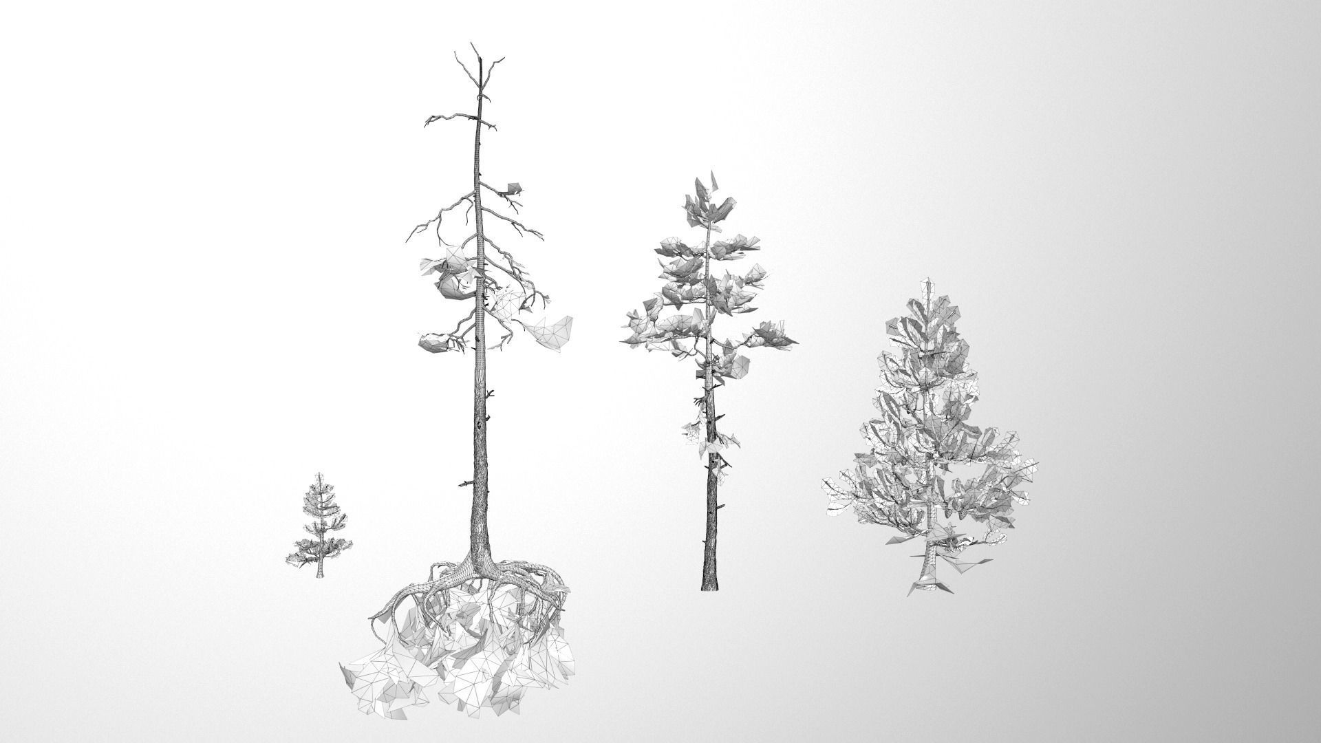 Rocky Pine Trees Forest Biome Low-poly 3D model_17