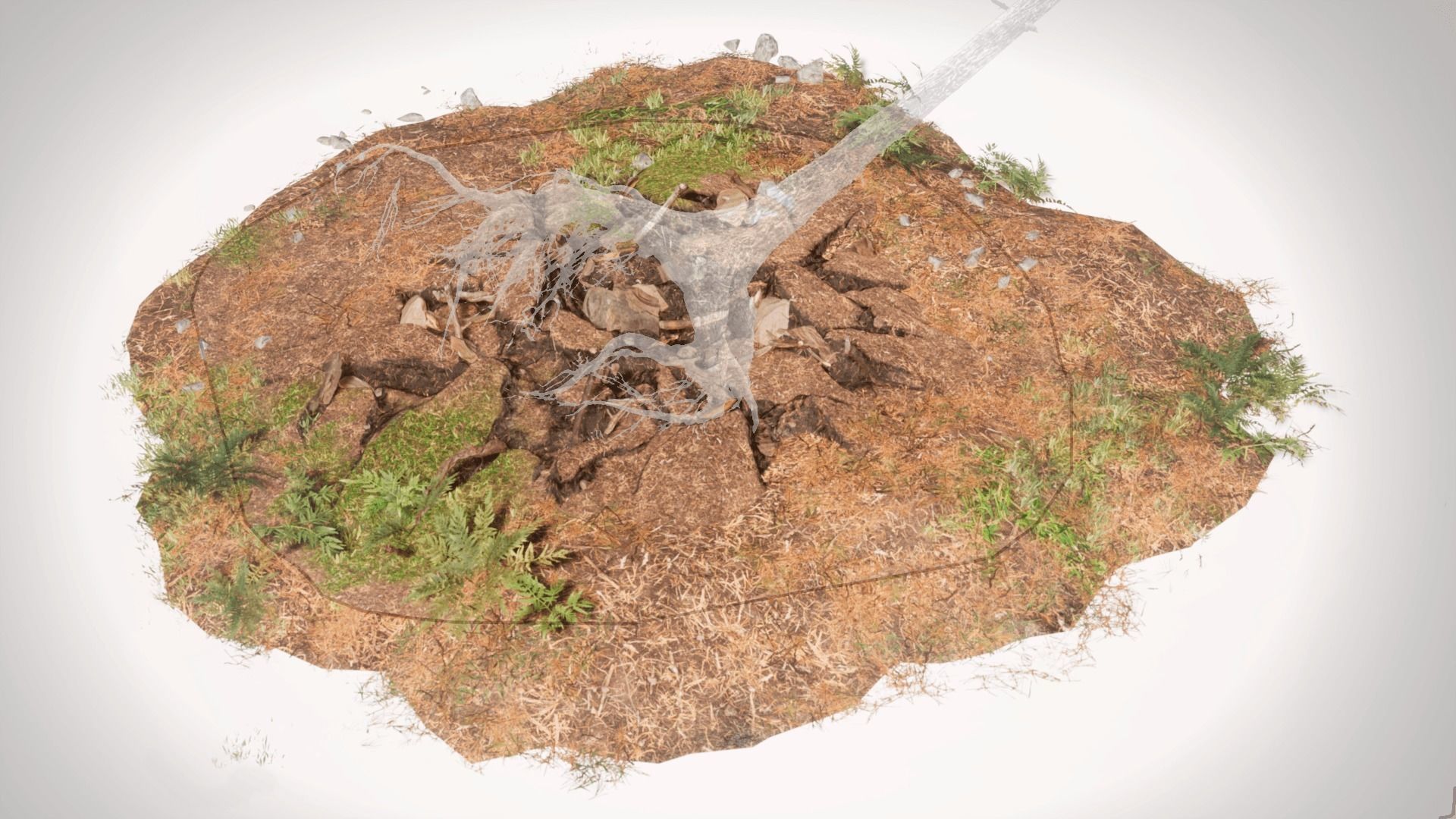 Rocky Pine Trees Forest Biome Low-poly 3D model_12