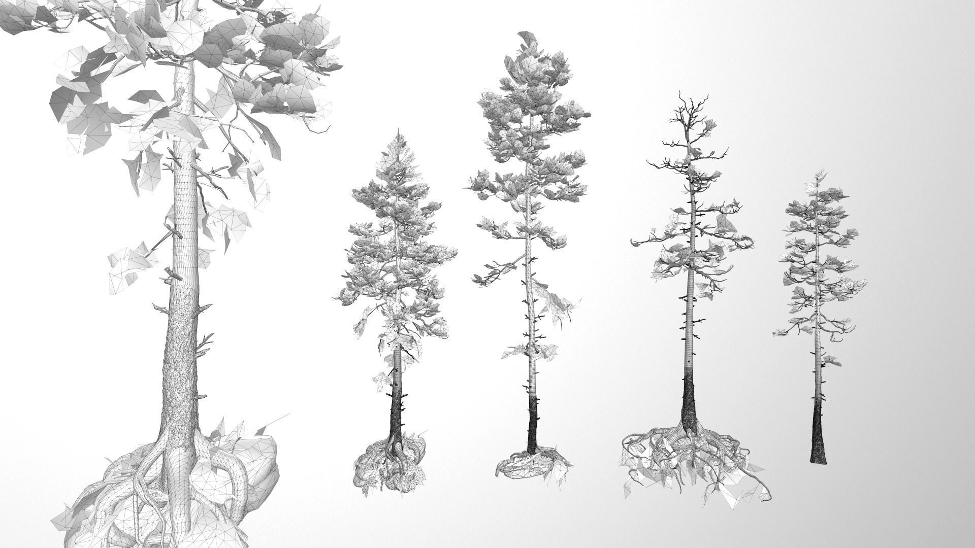 Rocky Pine Trees Forest Biome Low-poly 3D model_19