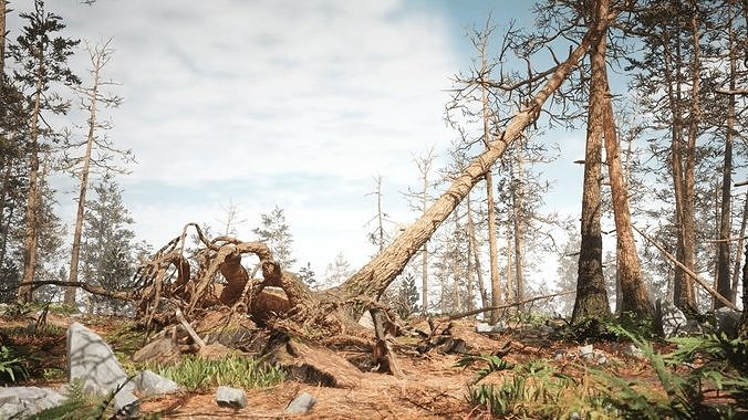 Rocky Pine Trees Forest Biome Low-poly 3D model 4