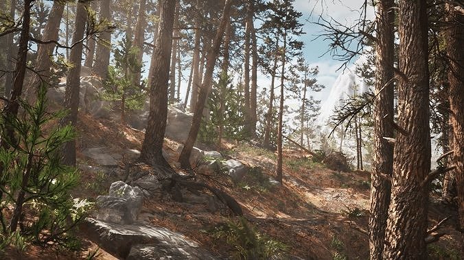 Rocky Pine Trees Forest Biome Low-poly 3D model 2