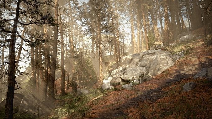 Rocky Pine Trees Forest Biome Low-poly 3D model 7
