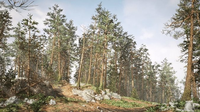 Rocky Pine Trees Forest Biome Low-poly 3D model 3
