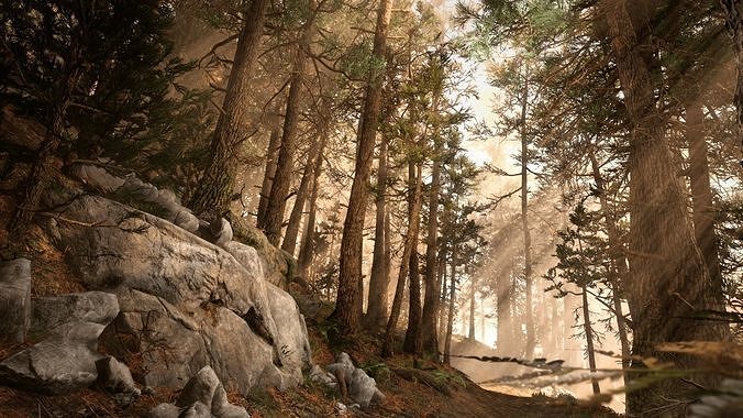 Rocky Pine Trees Forest Biome Low-poly 3D model 6