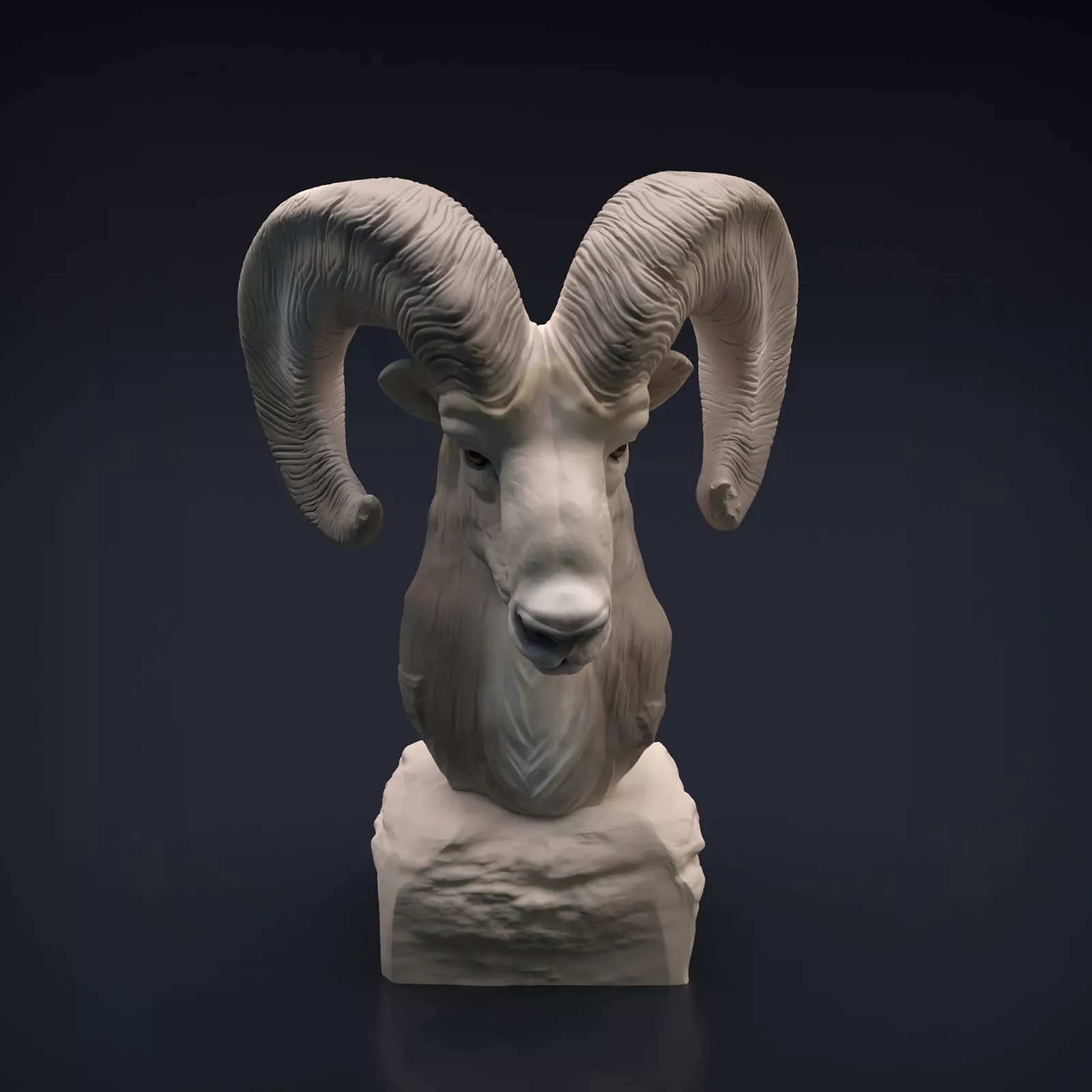 Ram Bust for 3D Printing 3D print model