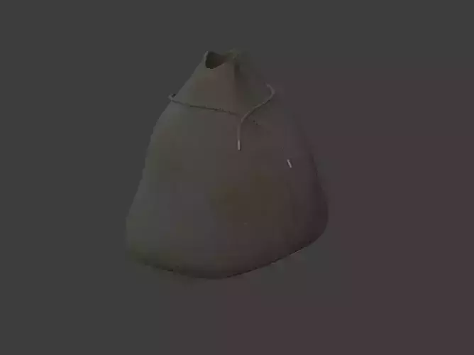 Golden Coin with Chestbox and pouch