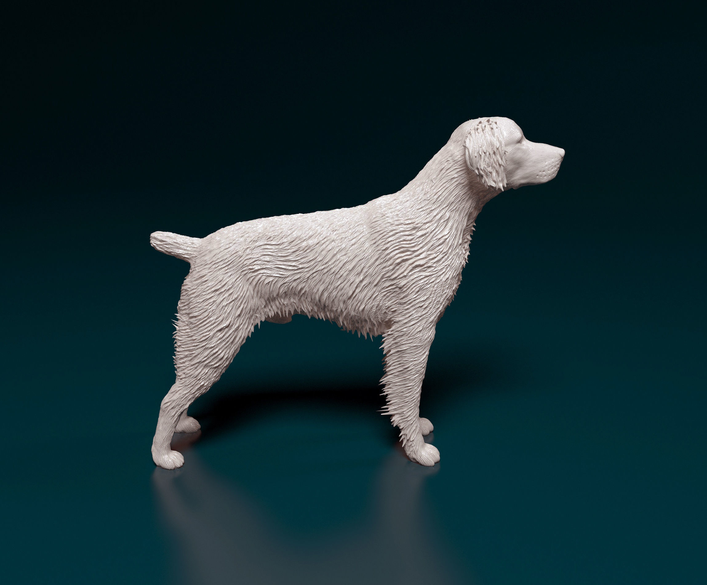 Brittany dog 3D print model_1