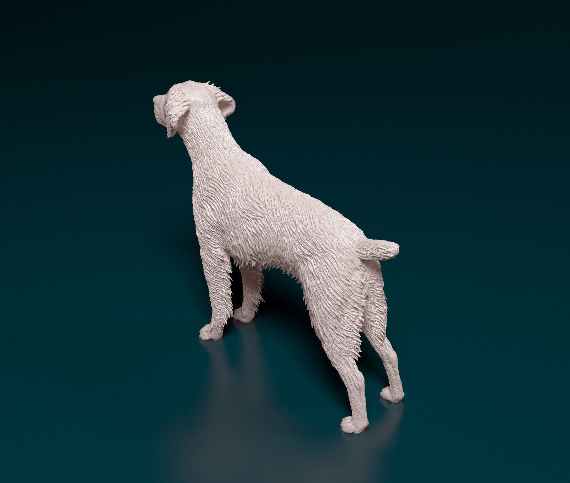 Brittany dog 3D print model_4