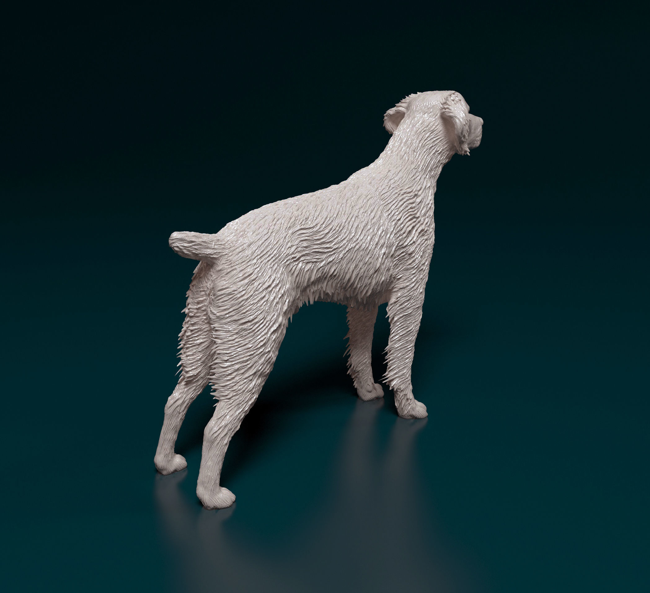 Brittany dog 3D print model_2