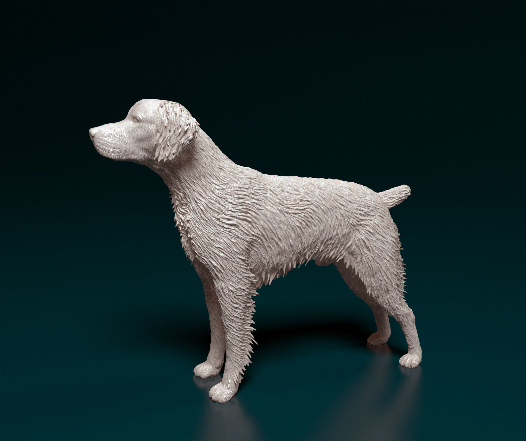 Brittany dog 3D print model_5