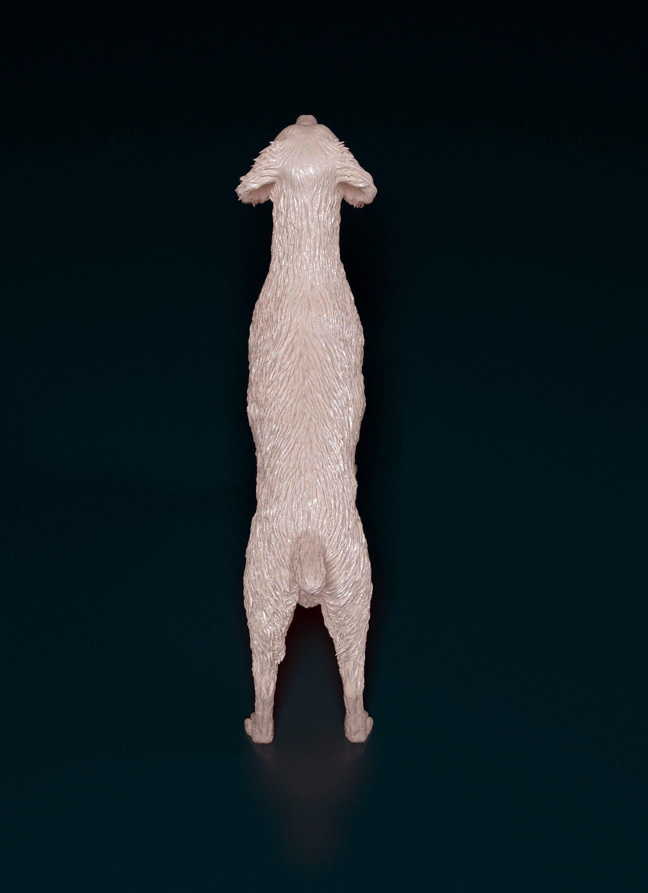 Brittany dog 3D print model_3