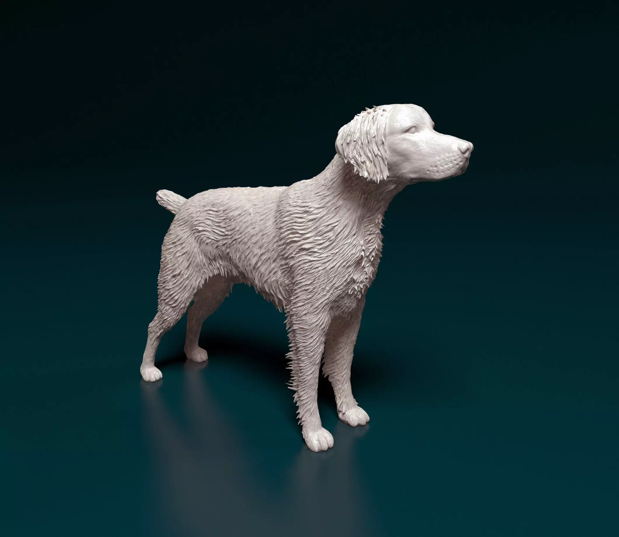 Brittany dog 3D print model_0