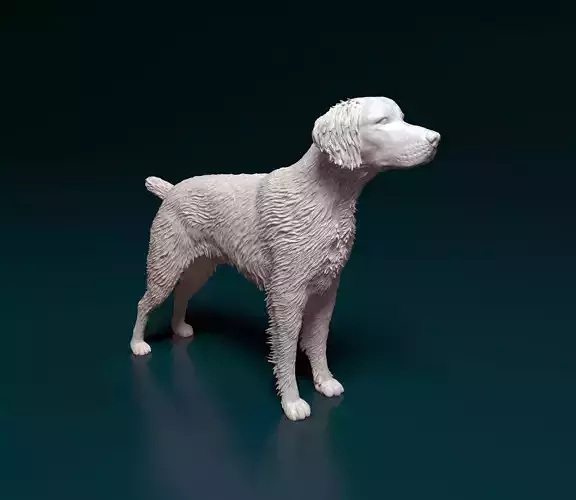 Brittany dog 3D print model