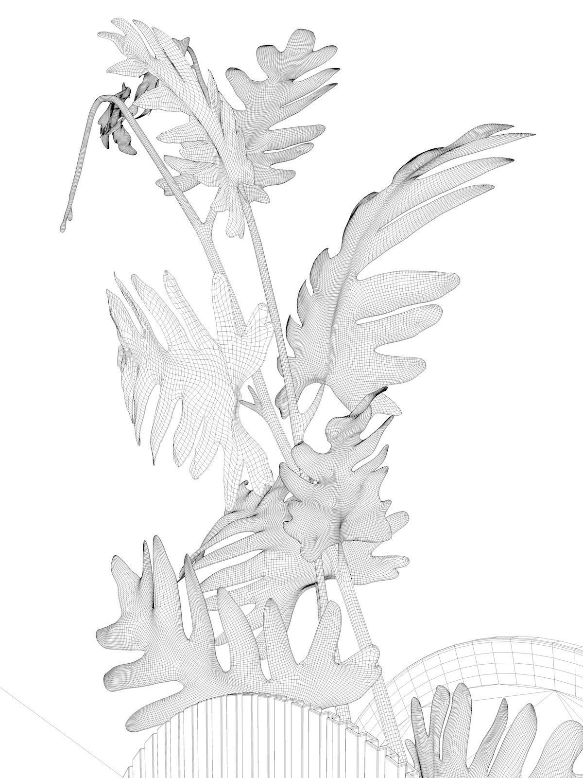 Acrylic Vase with Philodendron 3D model_4