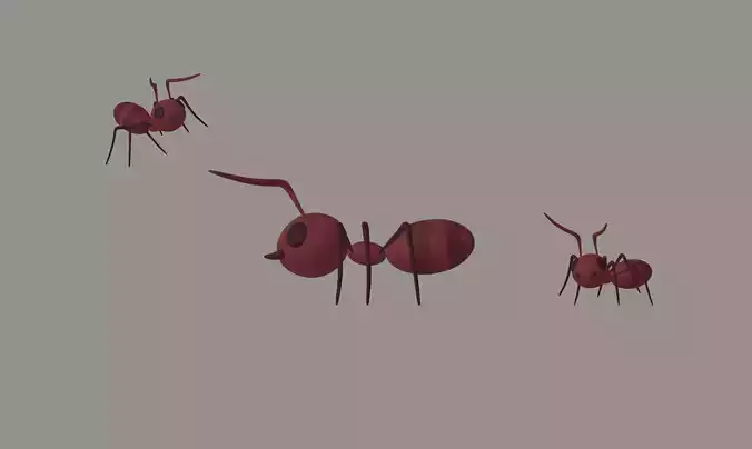 Ant model 3D model