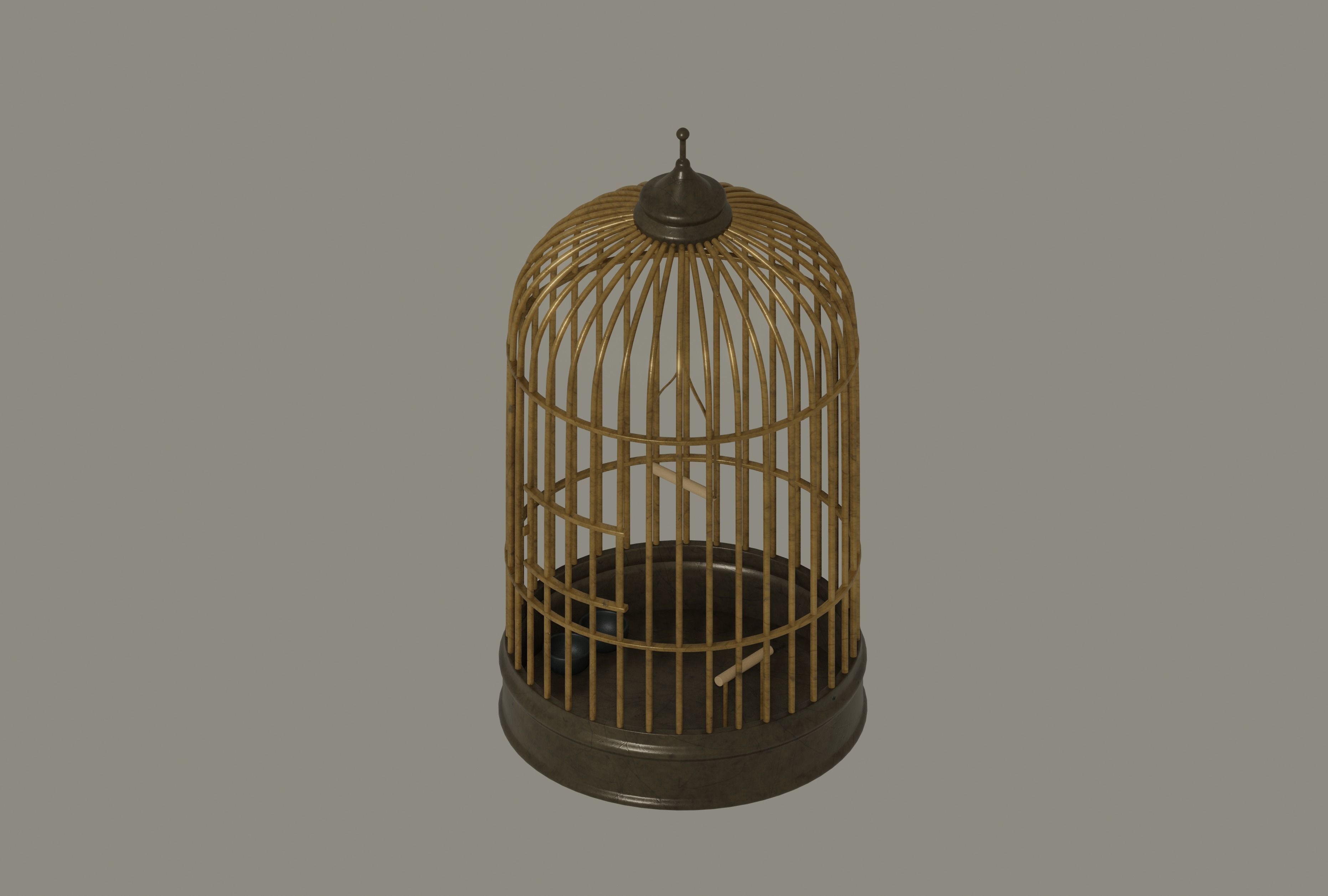 Bird Cage 3D model_2