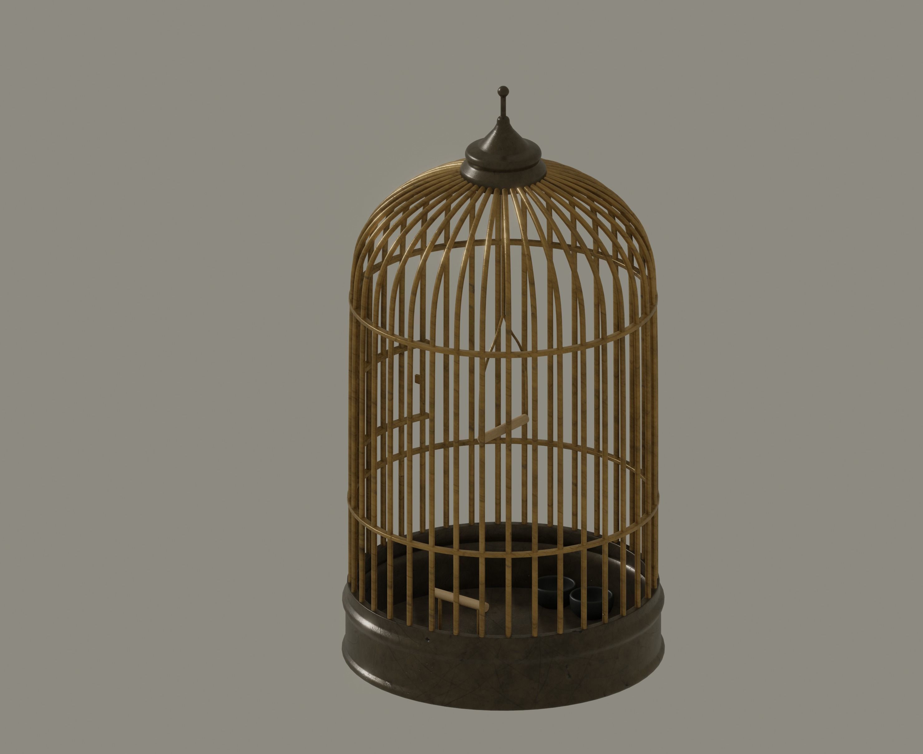 Bird Cage 3D model_4