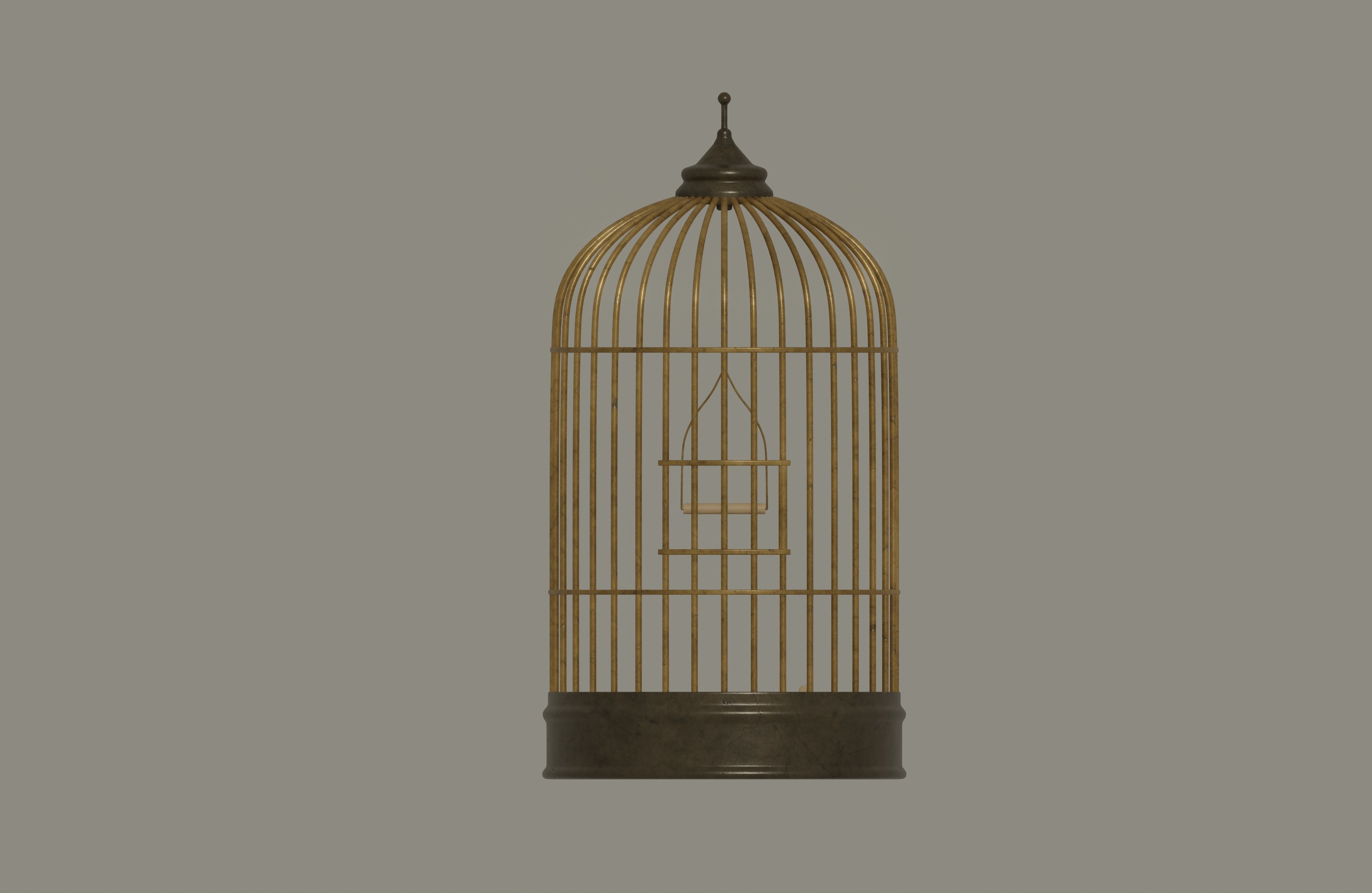 Bird Cage 3D model_1