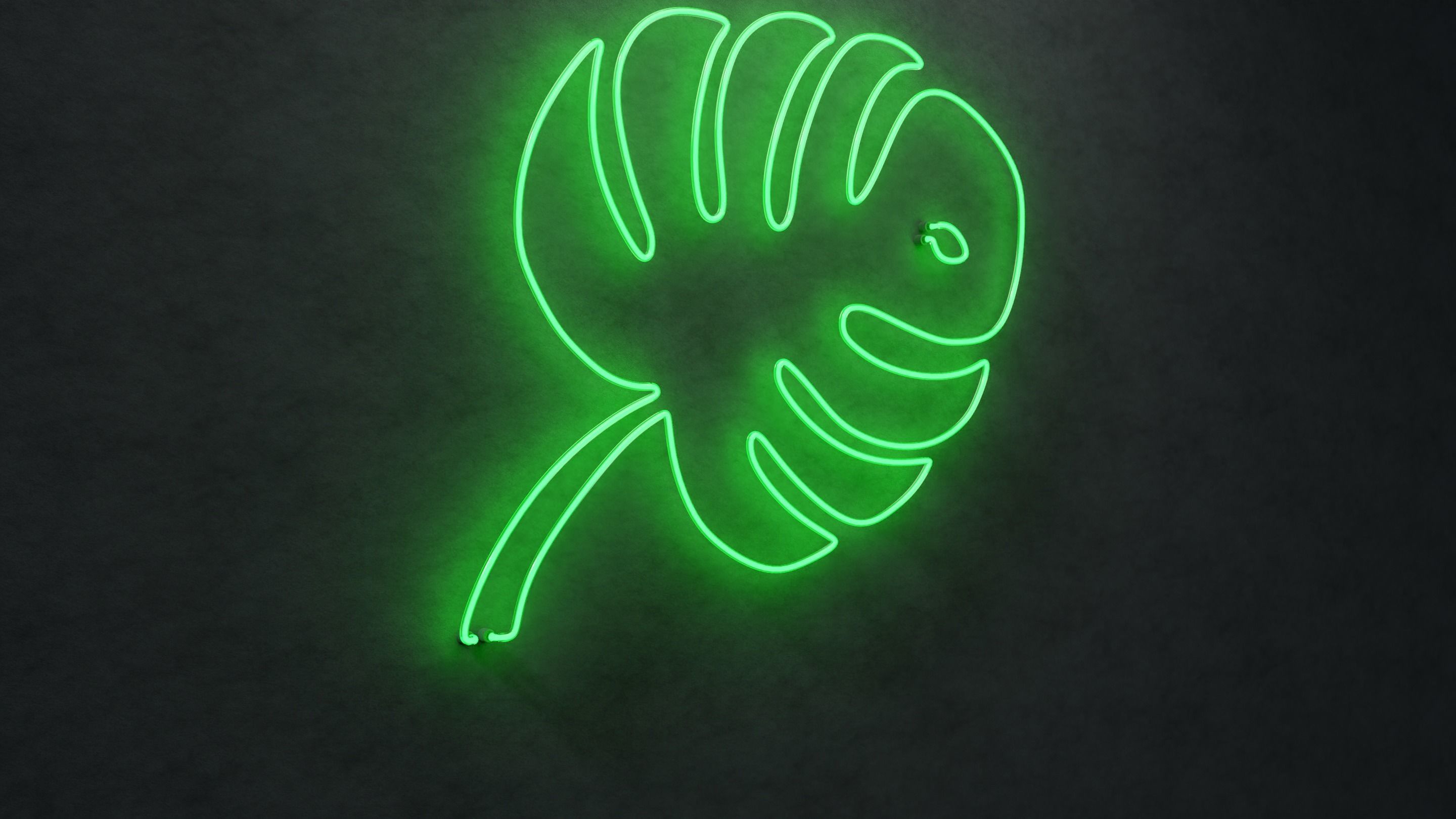 Neon 3D model 20 - Leaf 2 3D model_5