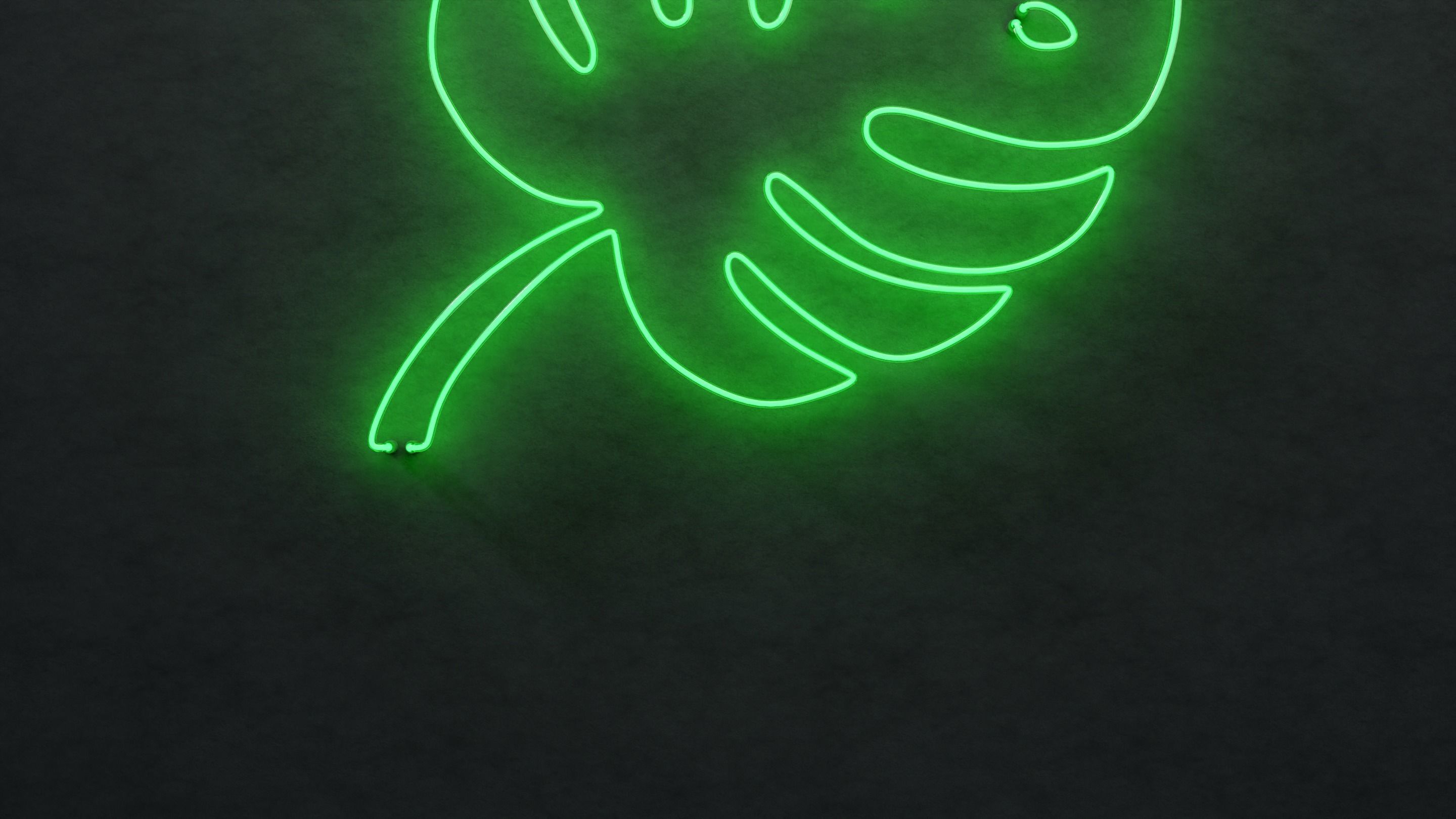 Neon 3D model 20 - Leaf 2 3D model_3