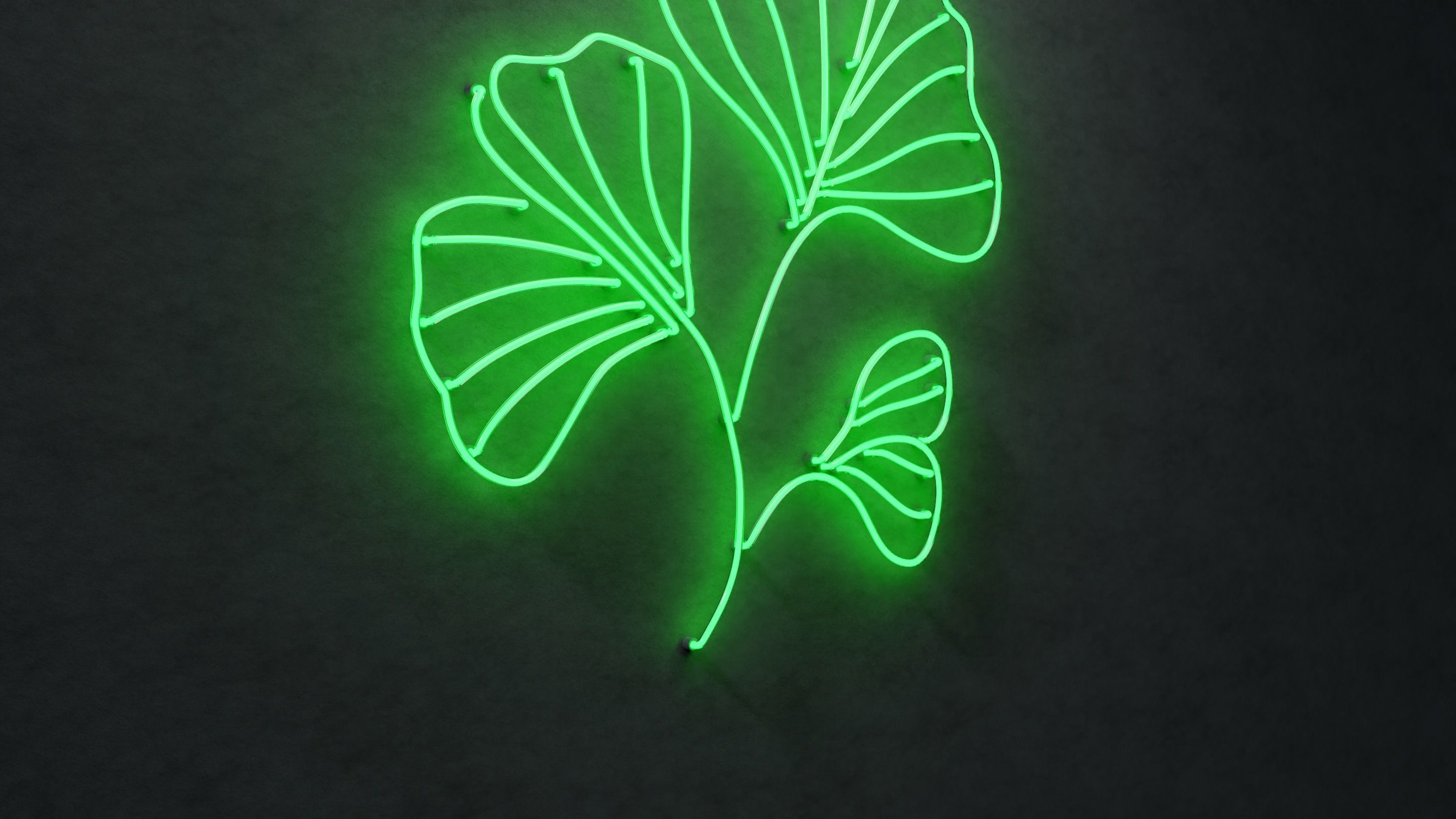 Neon 3D Model 21 - Leaf 3 3D model_5