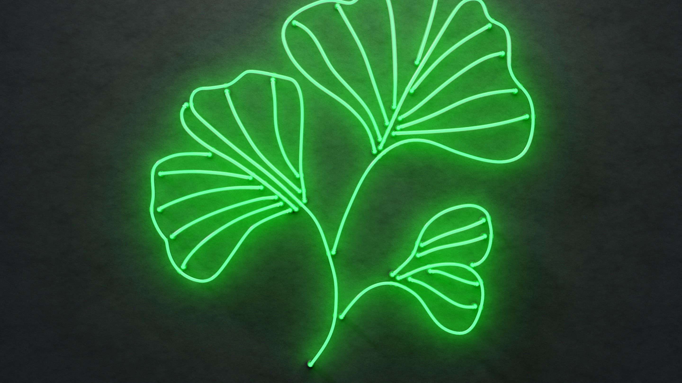 Neon 3D Model 21 - Leaf 3 3D model_2