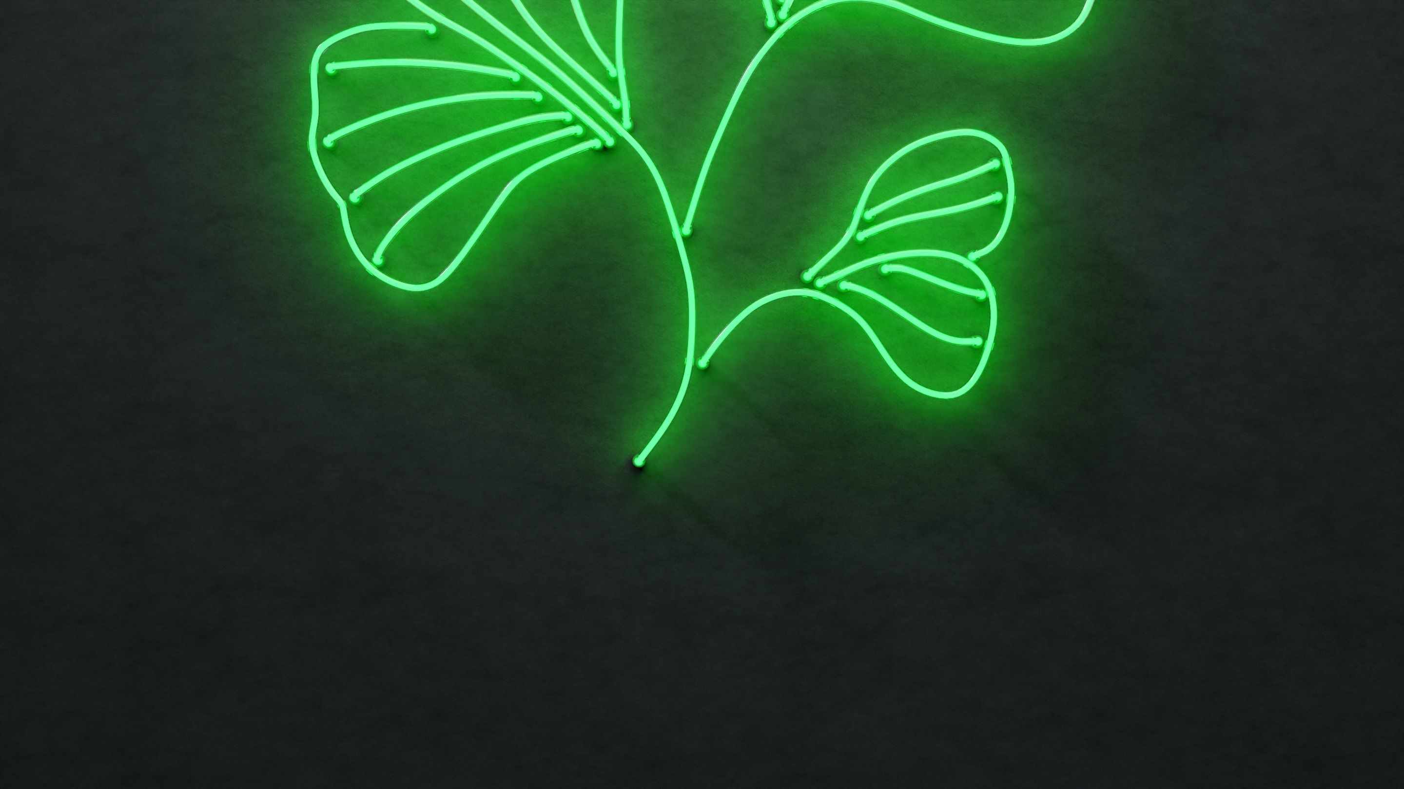 Neon 3D Model 21 - Leaf 3 3D model_3