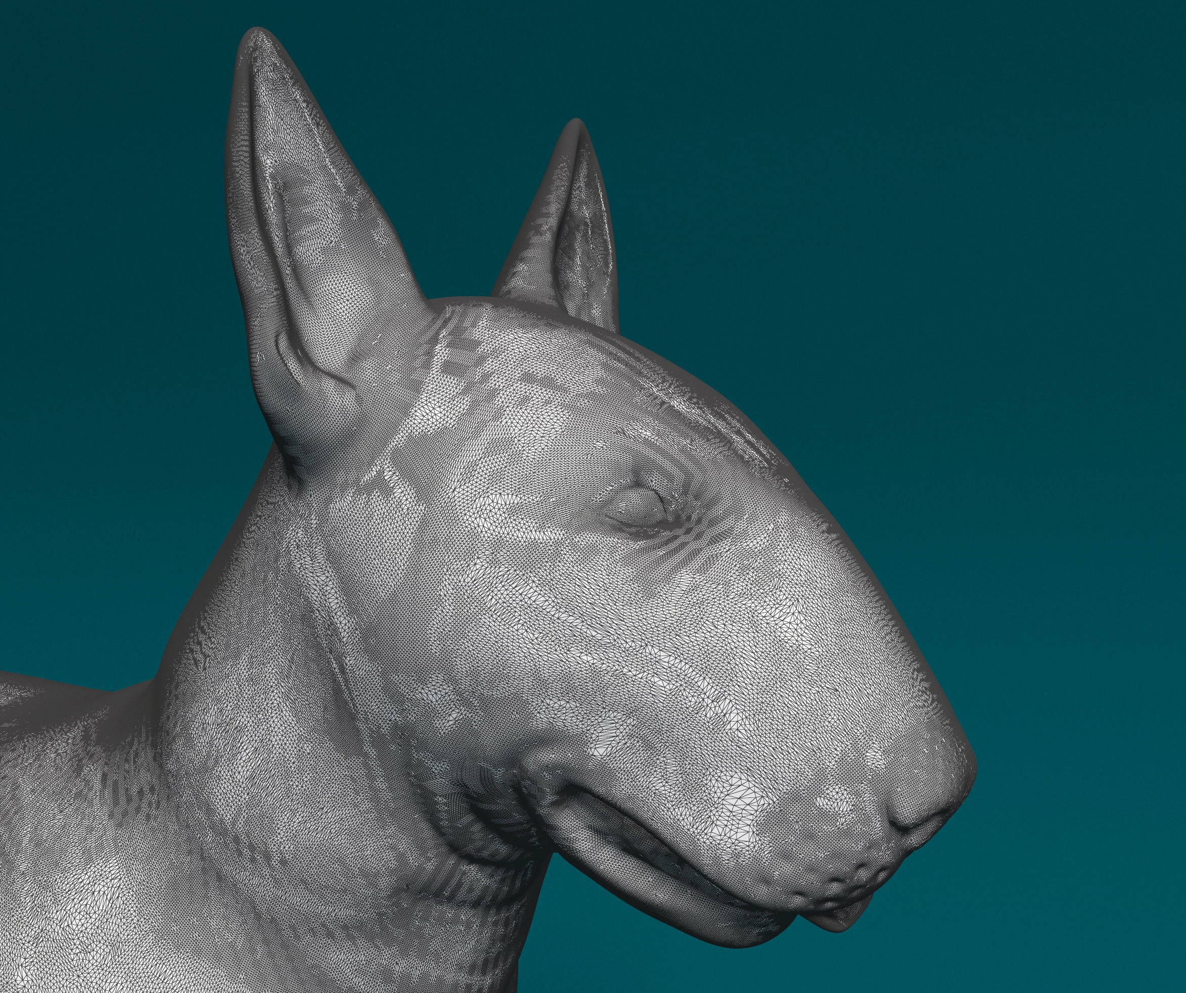 Bull terrier 3D print model_5