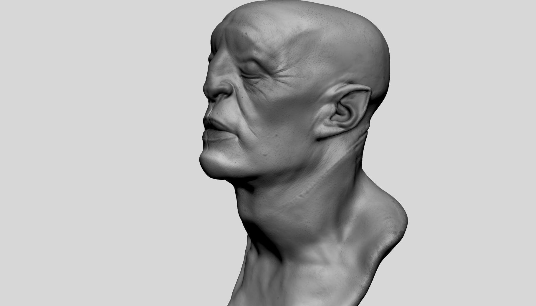 Fantasy Creature Head v11 3D model_6