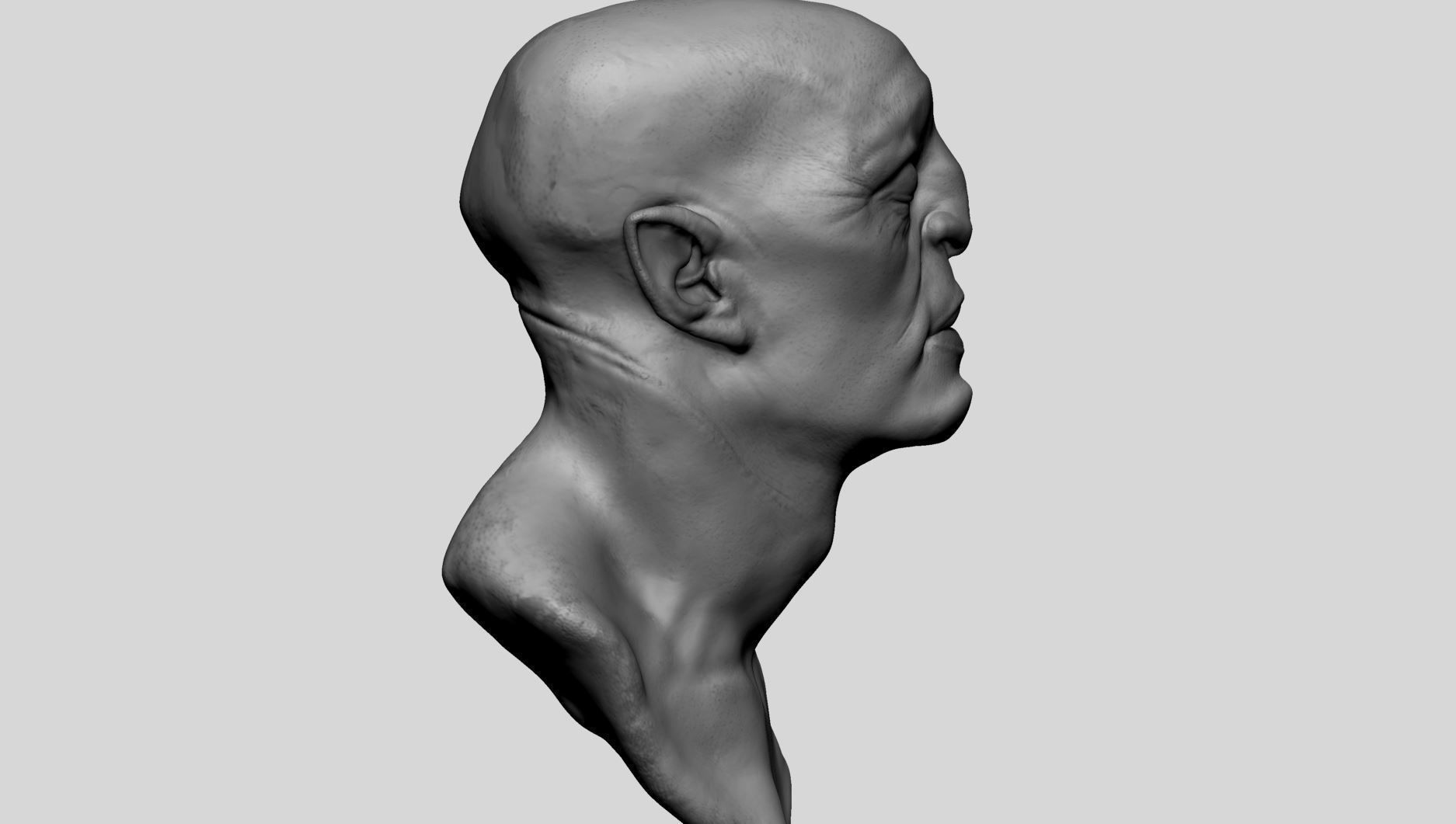 Fantasy Creature Head v11 3D model_2