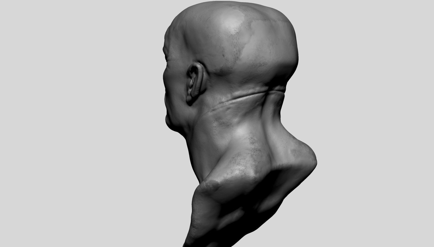 Fantasy Creature Head v11 3D model_5